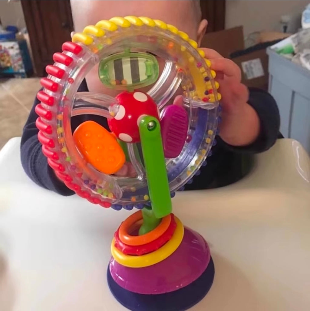 Baby Rotating Ferris Wheel